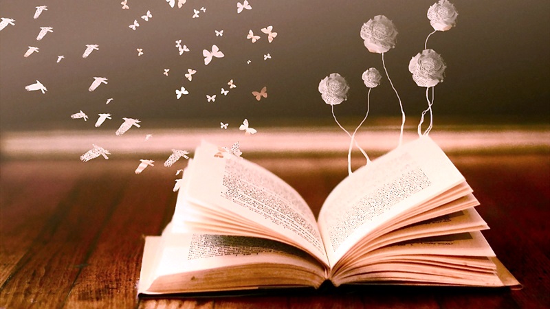 Por que incentivar o hábito da leitura? | Colégio Divino Salvador